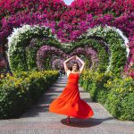 Miracle Garden