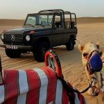 Safari no Deserto